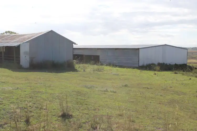 Seventh view of Homely rural property listing, 657 Upper Wheatvale Rd St, Massie QLD 4370