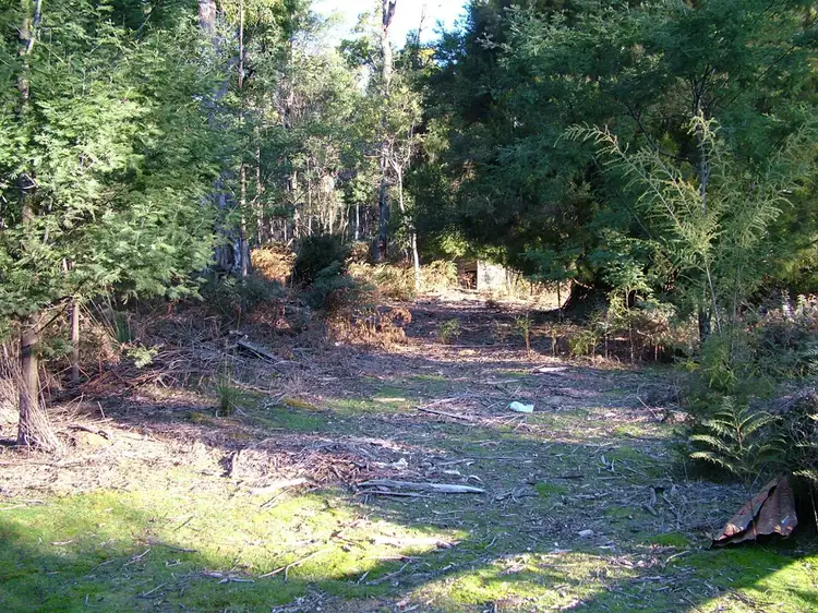 Fifth view of Homely rural property listing, 91 Burns road, Wyena TAS 7254