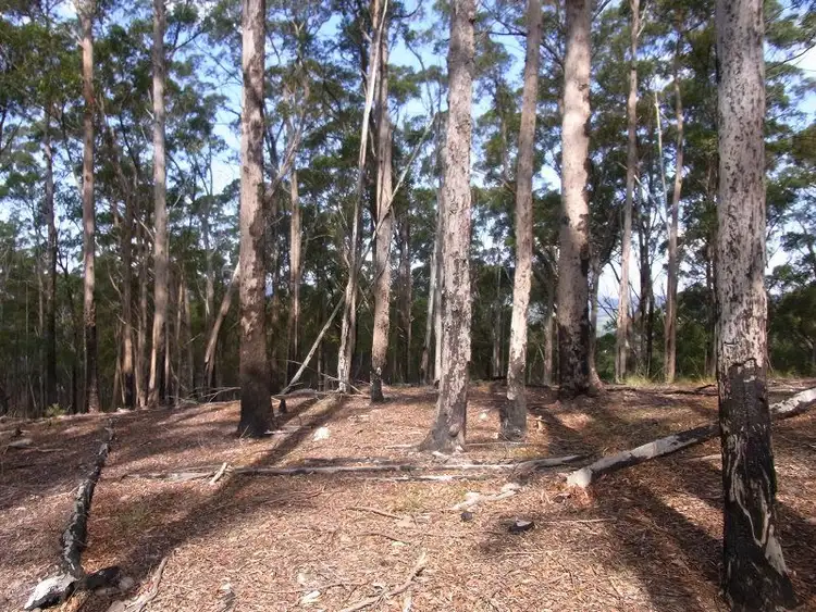 Second view of Homely rural property listing, L242 Jenny Lane, Nethercote NSW 2549