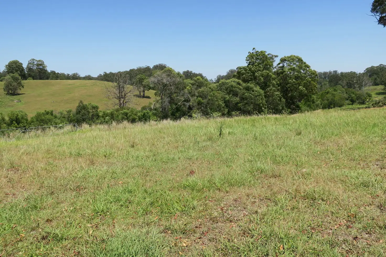 Main view of Homely land listing, Lot 22 Wirrimbi Road, Newee Creek NSW 2447