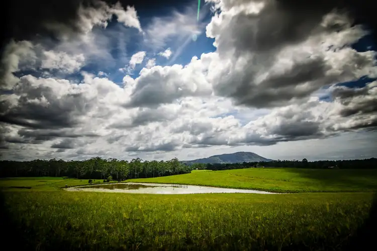 Second view of Homely rural property listing, 524 South Bank Road, Tamban NSW 2441