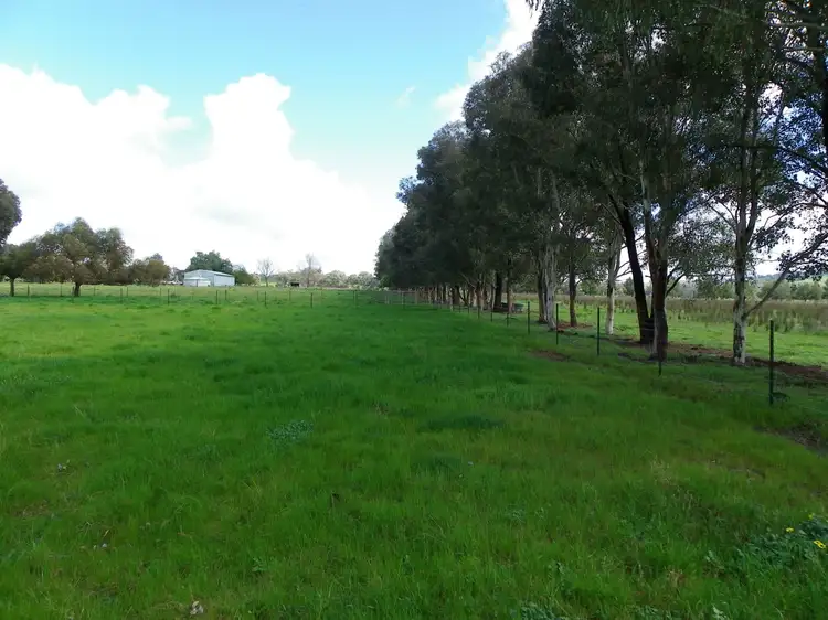 Fifth view of Homely rural property listing, 408 Quartz Hill Road, Jindera NSW 2642