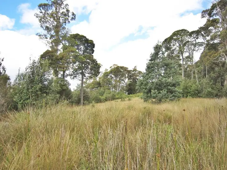 Fifth view of Homely land listing, 594 Spellmans Road, Wilmot TAS 7310