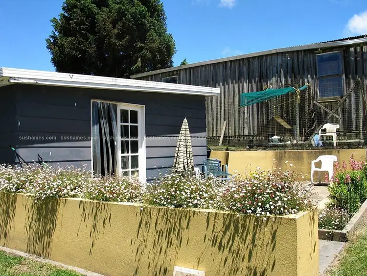 Seventh view of Homely rural property listing, 259 Melrose Road, Aberdeen TAS 7310
