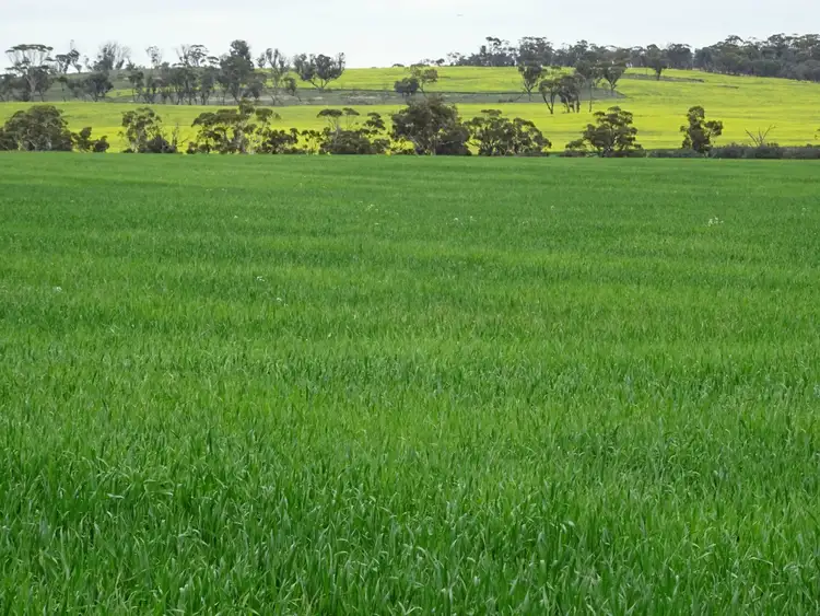 Third view of Homely land listing, L1 Rossmore Road, Goomalling WA 6460