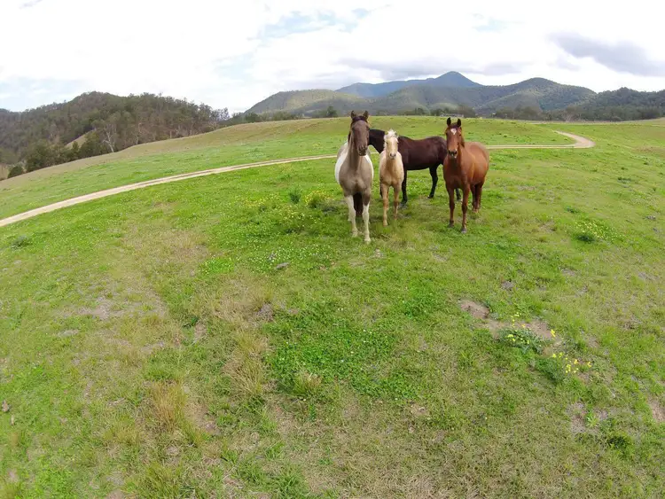 Fourth view of Homely rural property listing, Towal Creek Station - Toose Road, Comara NSW 2440