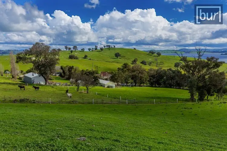 Second view of Homely rural property listing, 112 Hore Rd, Bowna NSW 2644