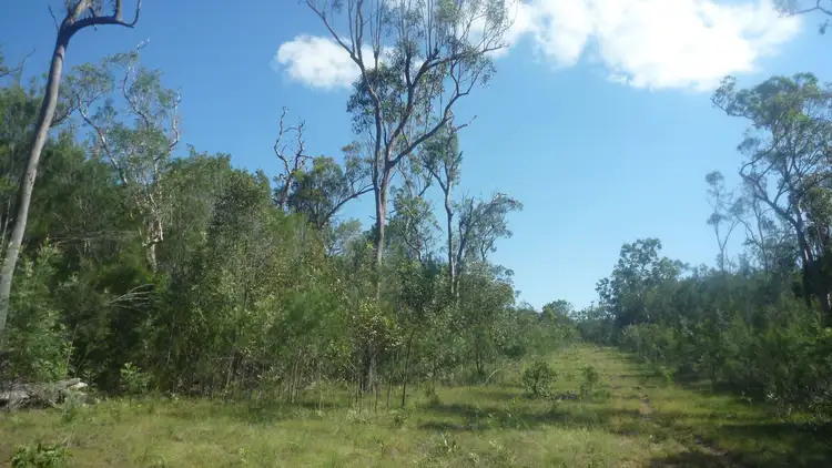 Third view of Homely land listing, 101 McKenzies Road, North Isis QLD 4660