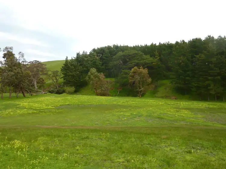 Fourth view of Homely rural property listing, 2357 Inman Valley Road, Yankalilla SA 5203