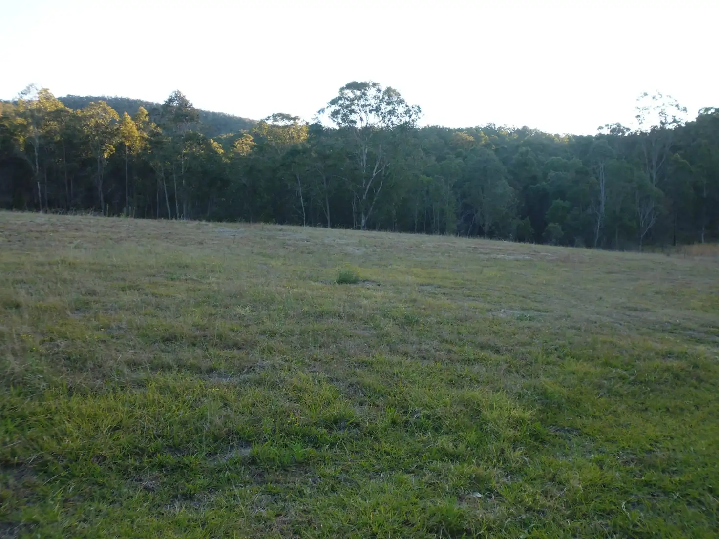 Main view of Homely rural property listing, Address available on request