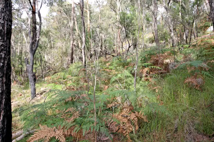 Seventh view of Homely land listing, 554 Settlers Road, Lower Macdonald NSW 2775