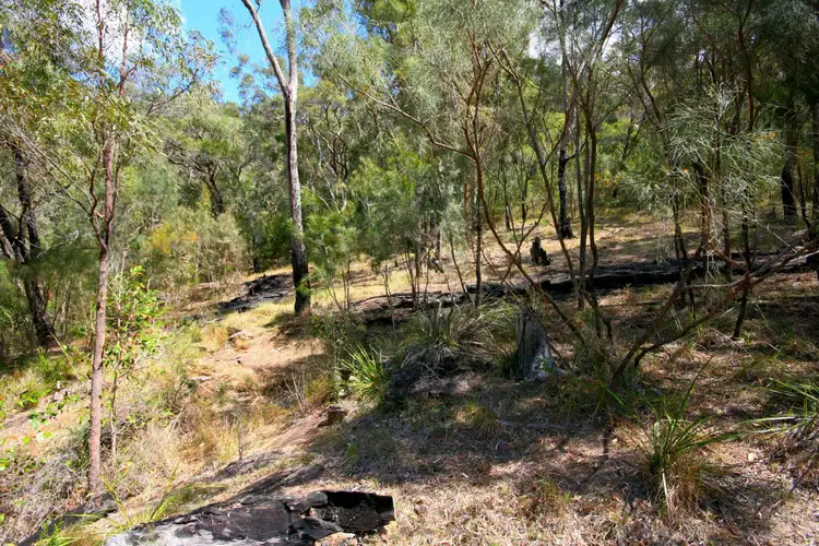 Seventh view of Homely land listing, 446 Singleton Road, Wisemans Ferry NSW 2775