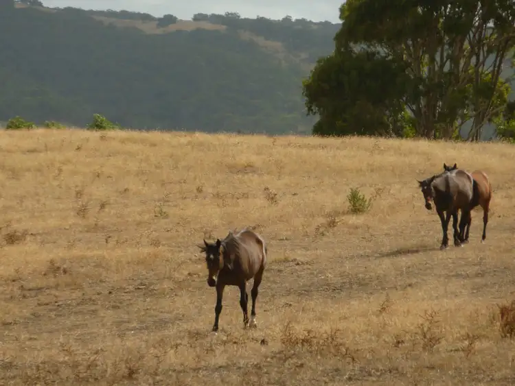 Second view of Homely rural property listing, 130 James Trac St, Yankalilla SA 5203