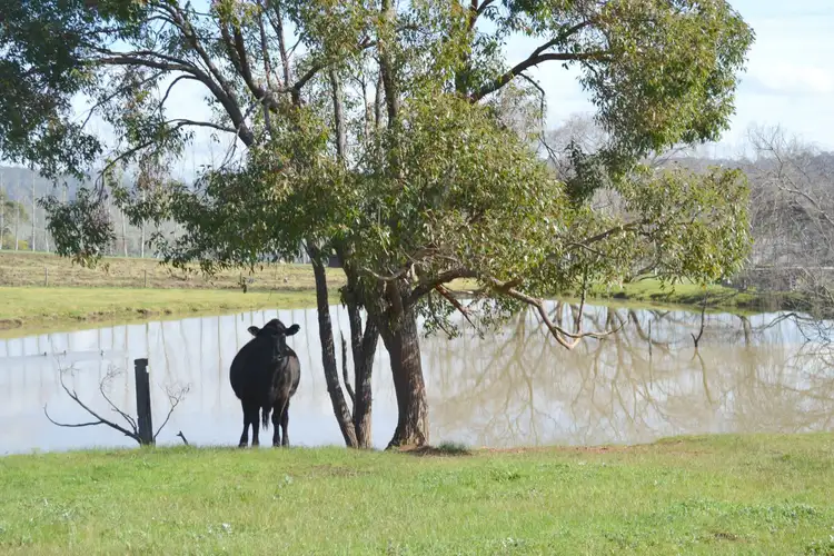 Second view of Homely rural property listing, Lot 483 Hawterville Road, Mullalyup WA 6252