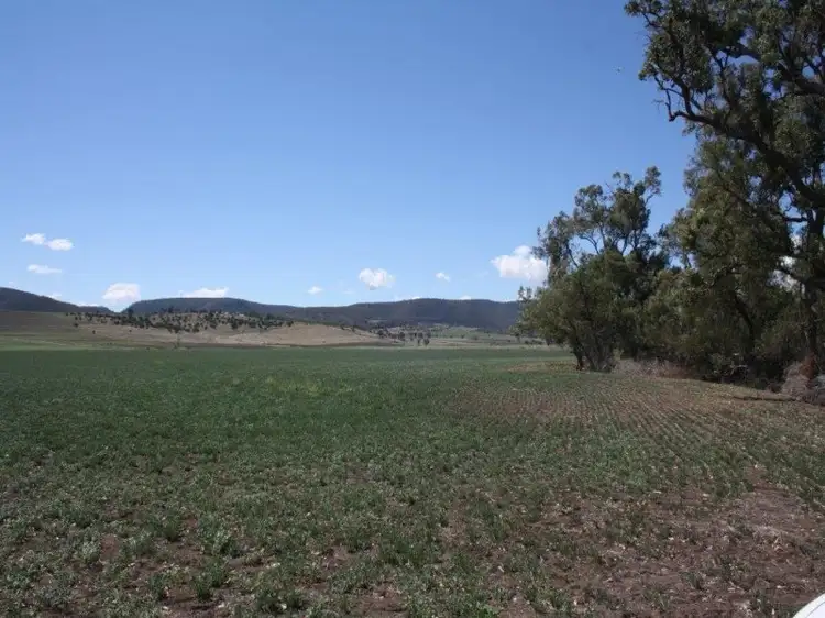 Fourth view of Homely rural property listing, Address available on request