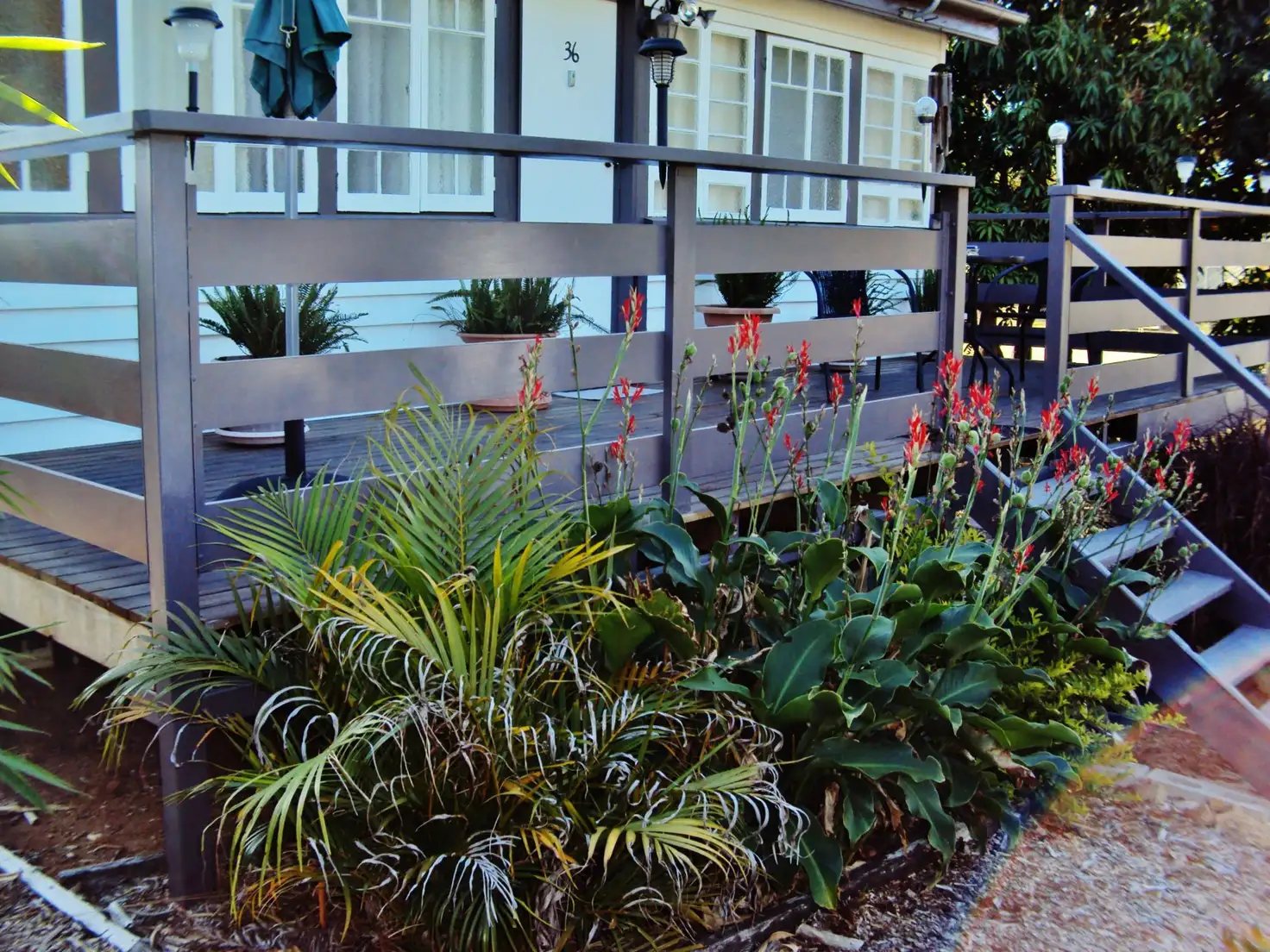 Main view of Homely house listing, 36 East Street, Mount Morgan QLD 4714