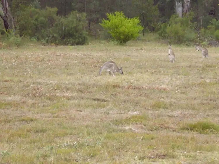 Sixth view of Homely rural property listing, 150 Putty Valley Road, Putty NSW 2330