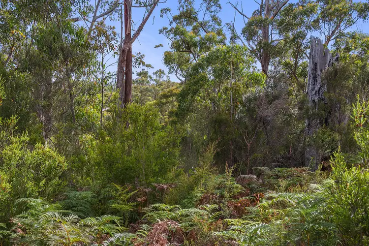 Fifth view of Homely land listing, 251862/3 Hastings Bay Esplanade, Hastings TAS 7109