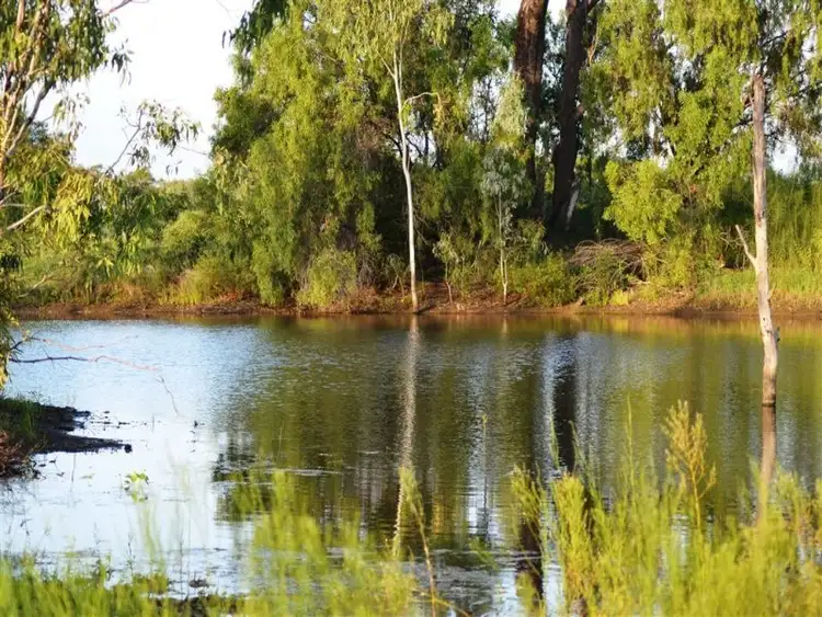 Fifth view of Homely rural property listing, 134 Tyrell Road, Alton Downs QLD 4702