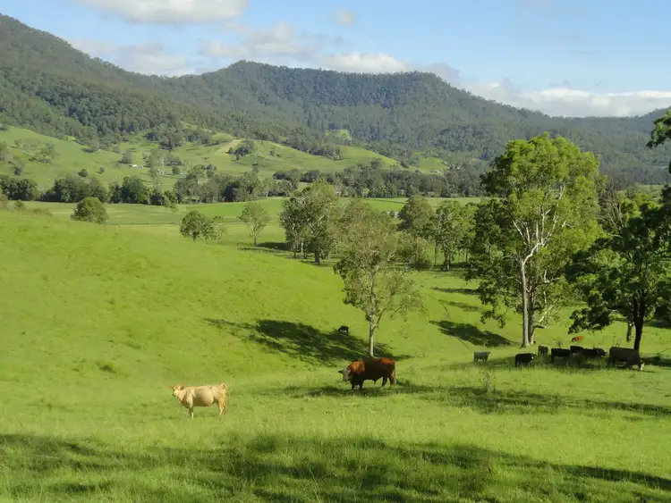 Second view of Homely rural property listing, 2 Rices Road, Kyogle NSW 2474