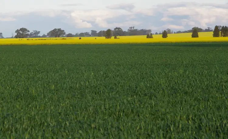 Fifth view of Homely rural property listing, 1327 Lockhart Road, Walbundrie NSW 2642
