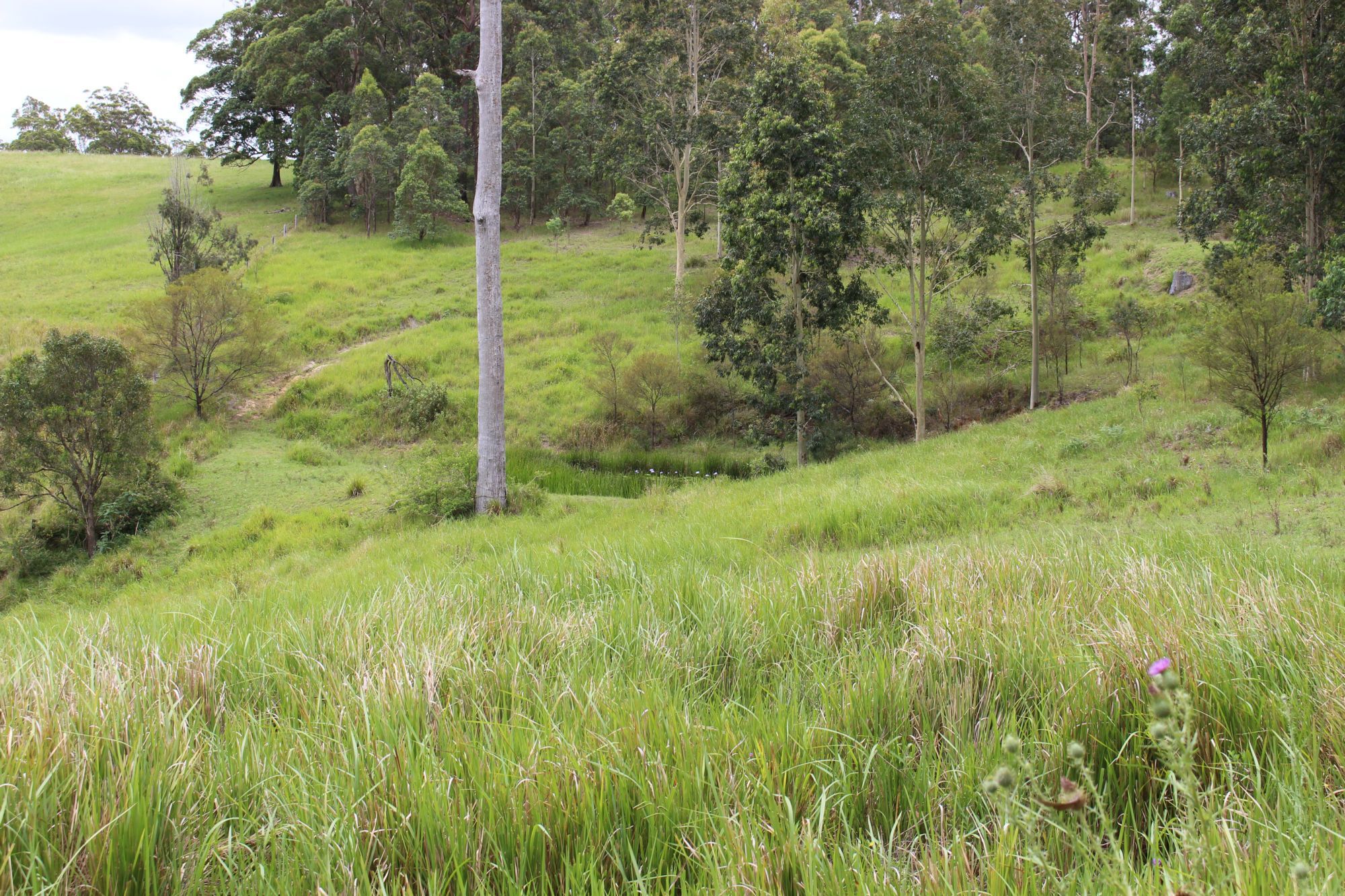 Seventh view of Homely rural property listing, 112 Kundle Creek Lane, Gloucester NSW 2422