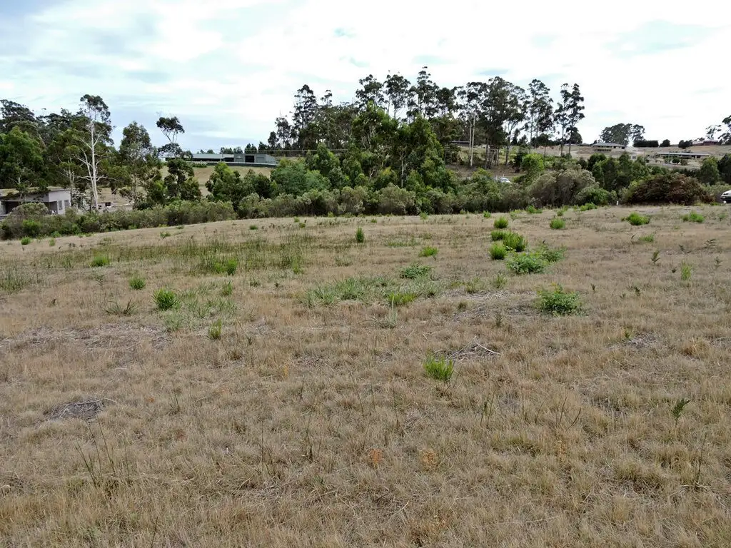 Main view of Homely land listing, 21 Mangana Drive, Tugrah TAS 7310