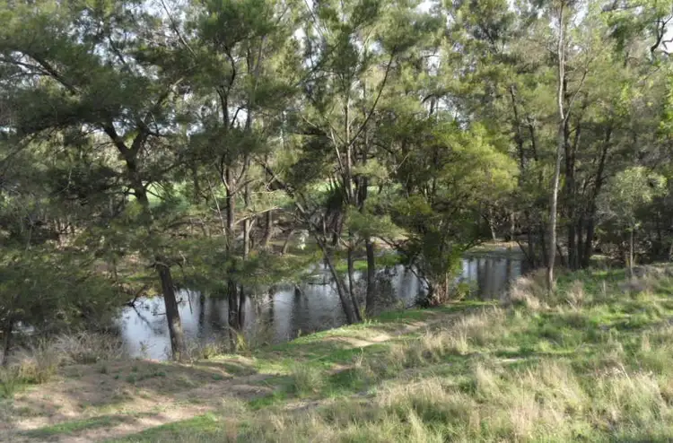 1786 Glen Lyon Dam Road, Mingoola QLD 4380