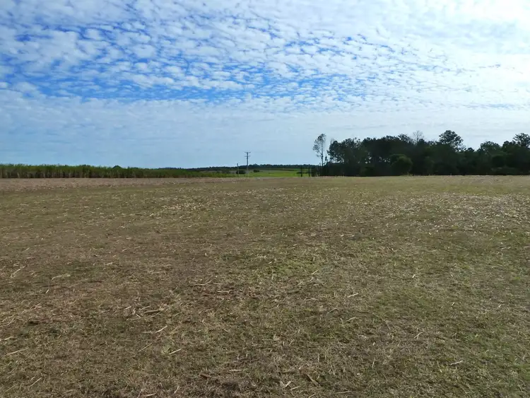 Fifth view of Homely rural property listing, 151 McDonald Road, Tinana South QLD 4650