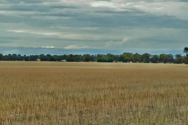 Third view of Homely rural property listing, Lot 3 Cornishtown Road, Rutherglen VIC 3685