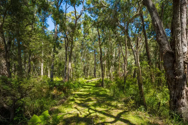 Fourth view of Homely rural property listing, Lot 1 Wallagaraugh Road, Genoa VIC 3891