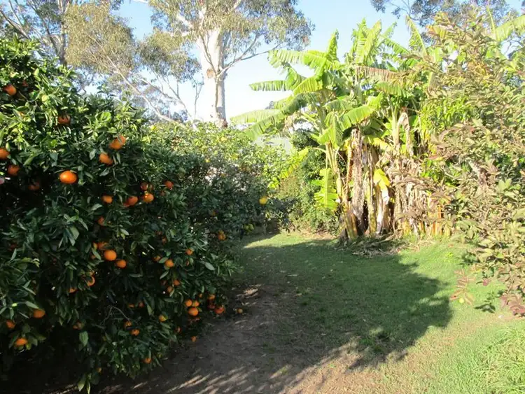 Sixth view of Homely house listing, 97 Fairway Drive, Sanctuary Point NSW 2540