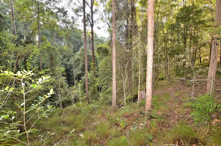Fifth view of Homely land listing, 88 Rambert Road, Eudlo QLD 4554