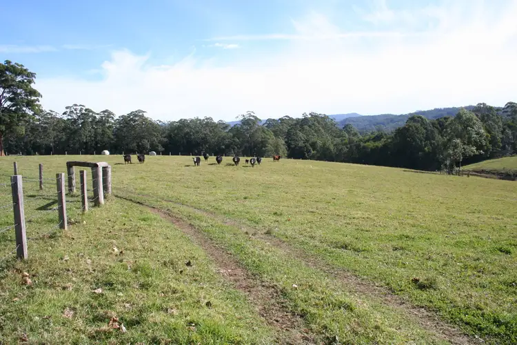 Main view of Homely rural property listing, L3 Neilson Lane, Lorne NSW 2439