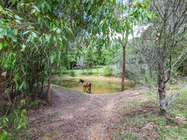 Seventh view of Homely land listing, 37 Grecian Bends Road, Greens Creek QLD 4570