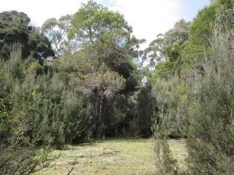 Main view of Homely rural property listing, L1 Bryans Road, Reedy Marsh TAS 7304