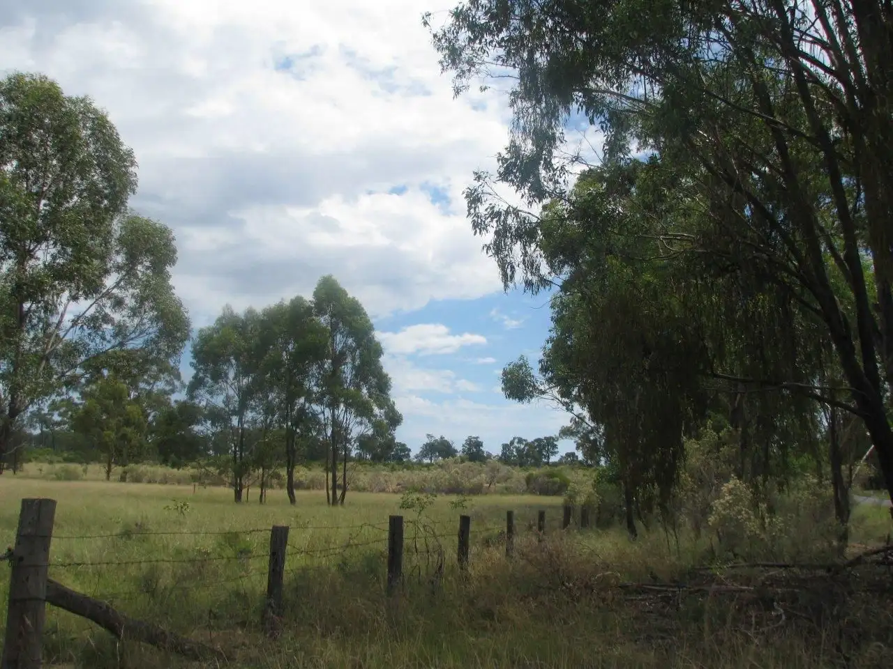 Main view of Homely rural property listing, 7336 Toowoomba Karara Road, Karara QLD 4352