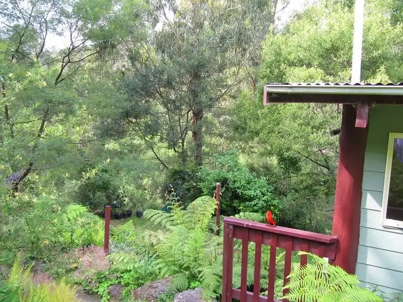 Main view of Homely rural property listing, 1414 Mount Darragh Rd, Lochiel NSW 2549