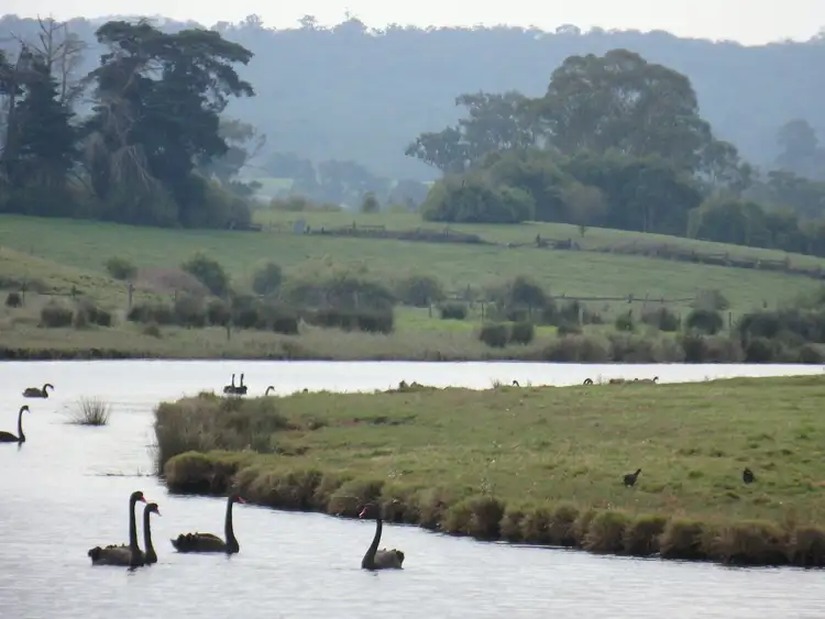 Third view of Homely land listing, 700 Nicholson-sarsfield Road, Sarsfield VIC 3875