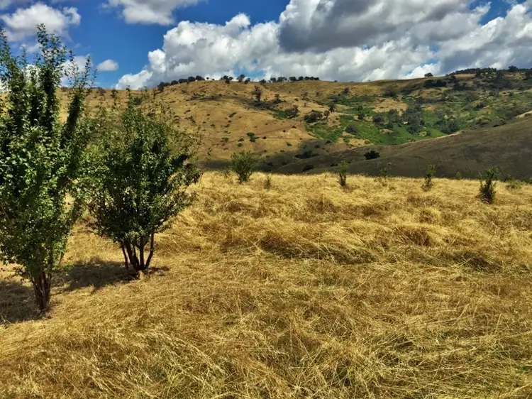 Sixth view of Homely rural property listing, Lot 31 Bownds Lane, Bethanga VIC 3691