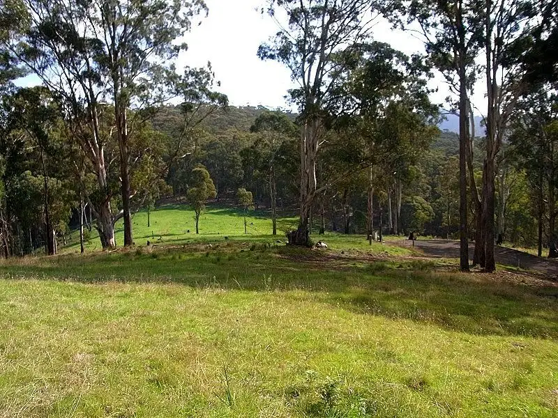 Main view of Homely rural property listing, L244 Jenny Lane, Nethercote NSW 2549