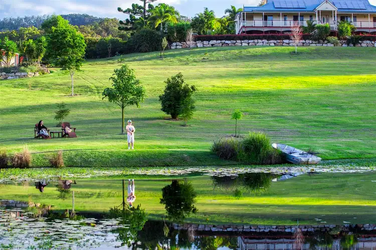 Fifth view of Homely house listing, 87 Nijinsky Way, Willow Vale QLD 4209