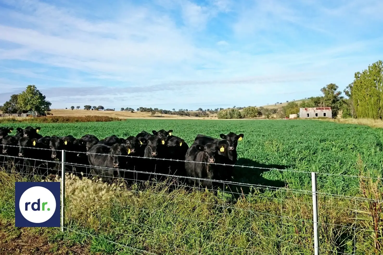 Main view of Homely rural property listing, Address available on request