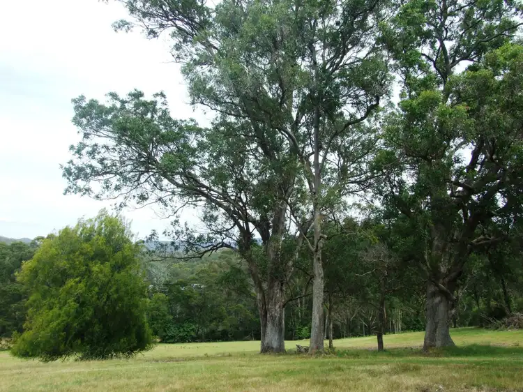 Fourth view of Homely land listing, 972 Mount Darragh Road, Lochiel NSW 2549