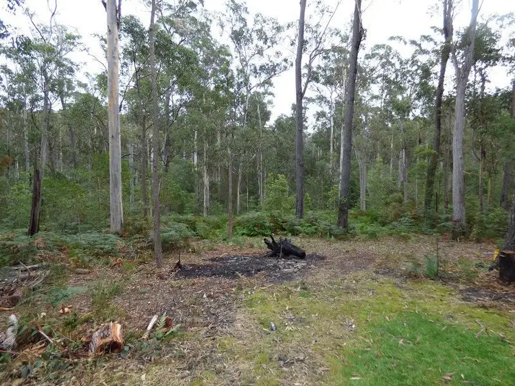 Second view of Homely rural property listing, L772 Mount Darragh Road, Lochiel NSW 2549