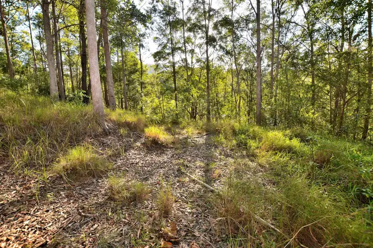 Fifth view of Homely land listing, 62 Rambert Road, Eudlo QLD 4554
