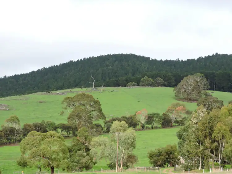 Fourth view of Homely rural property listing, Lot 8 Hay Flat Road St, Hay Flat SA 5204