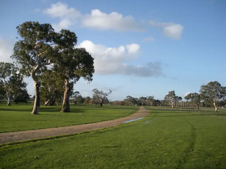 Main view of Homely rural property listing, 1203 Old Kalangadoo-Penola Road, Monbulla SA 5277