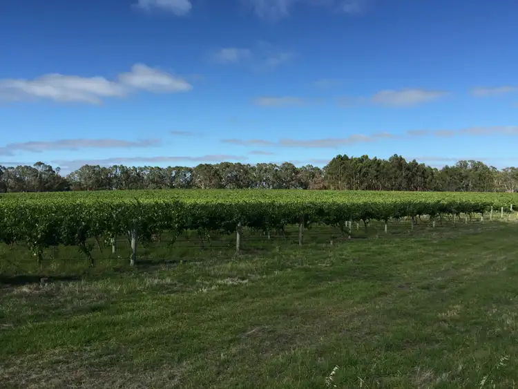 Second view of Homely rural property listing, 67 East Settlement Road, Naracoorte SA 5271