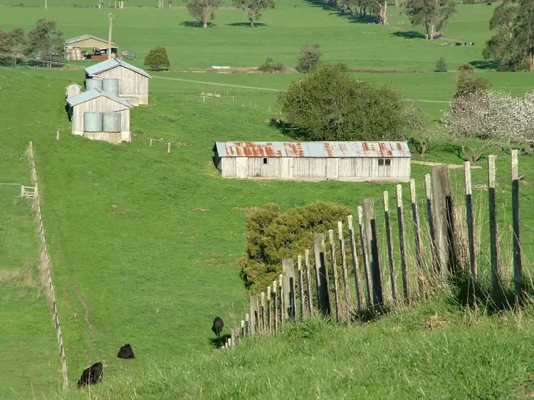 Fifth view of Homely rural property listing, Address available on request